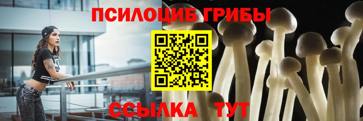 Псилоцибиновые грибы мухоморы Зеленогорск